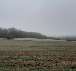 Doggy rando à Autigny-la-Tour par Couvonges - Autigny-la-Tour - 3