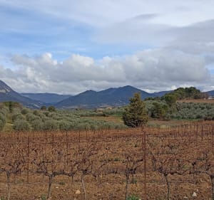 Balade aux alentours de Mirabel-aux-Baronnies, par Tour Belle - Mirabel-aux-Baronnies - 3