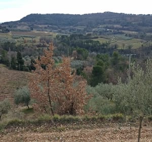 Balade aux alentours de Mirabel-aux-Baronnies, par Tour Belle - Mirabel-aux-Baronnies - 5