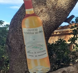 Le mas vespeille - Rivesaltes - Catherine - 4