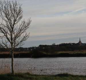 Balade en bord de Vilaine - Rieux - 5