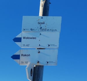Siwa Polana-Grześ - Kościelisko - 3