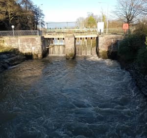 De Tupigny à Hannapes via le canal - Tupigny - 4