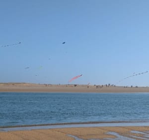 Boucle au départ du petit Port de Magouër - Plouhinec - 5