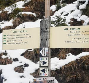 Balade au Chalets Les Mouets - Châtel - 3