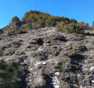 Sommet de Pirivigier - Val Buëch-Méouge - 4