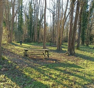 Balade VTT  Lons. Seuil de Denguin et retour - Lons - 3