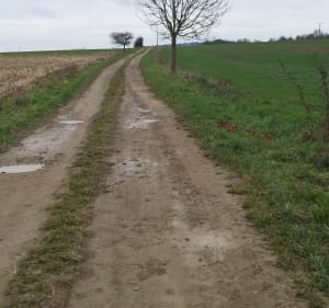 Circulaire haut clocher - St Ulrich - Haut-Clocher - 3