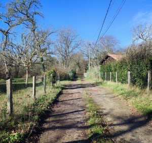 Petite boucle des Airials, site de Massy - Gaillères - 4