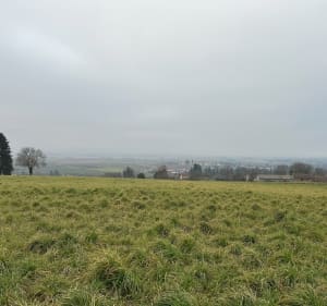 Hauteur entre la Côte et Gillonnay - La Côte-Saint-André - 3