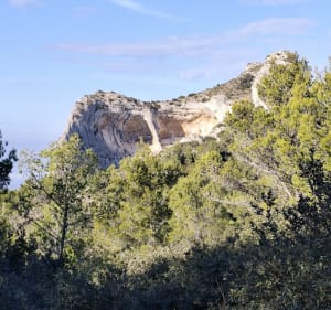 Sur la Crête des Alpilles - Saint-Rémy-de-Provence - 3