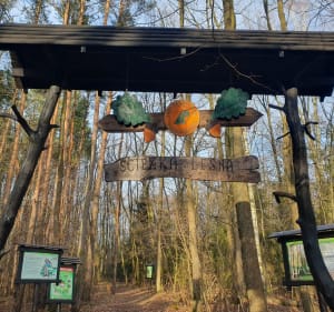 Sokolnikach Lesie - Sokolniki-Las - 4