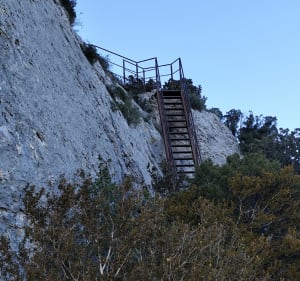 Sur la Crête des Alpilles - Saint-Rémy-de-Provence - 4