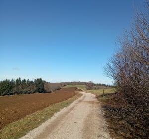 Autour du Mont Gargan - Saint-Gilles-les-Forêts - 3