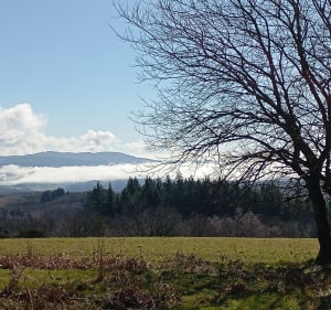Autour du Mont Gargan - Saint-Gilles-les-Forêts - 5