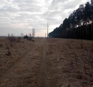 Tereny leśne osiedle Murator - Baranów - 3