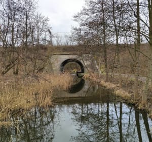 Wokół nowego Zoo/Nad Cybiną - Poznań - 4