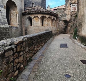 Saint-Guilhem-le-Désert, Max Nègre, forestière des Plos - Saint-Guilhem-le-Désert - 4