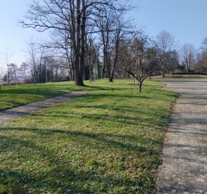 Montbéliard  : boucle des miches et du pré la rose - Montbéliard - 4