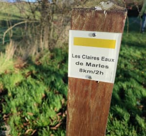 Les claires eaux de Marles - rodrigue - 3