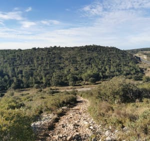 Courbessac combe des bourguignons - Nîmes - 5