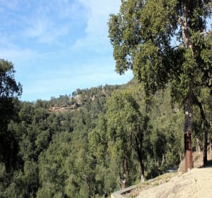 Balade au col Panissar - Le Perthus - 3