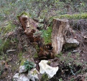 Autour de Lagnes - Lagnes - 3