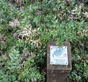 Autour de Lagnes - Lagnes - 4