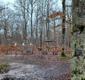 Balade champêtre à la Canaudière - Ormes - 4
