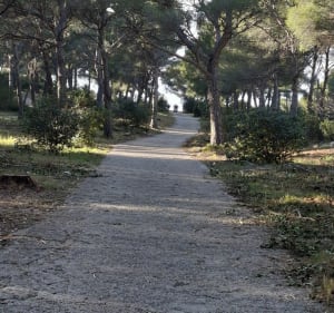Luminy-Redon-Baumette, la petite boucle forestière - Marseille - 3
