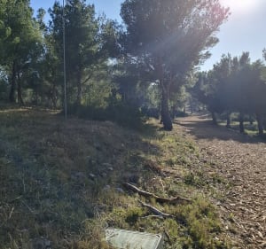 Luminy-Redon-Baumette, la petite boucle forestière - Marseille - 5