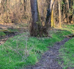 Le chemin autour des ruisseaux du Dahu Ambré - Osselle-Routelle - 4