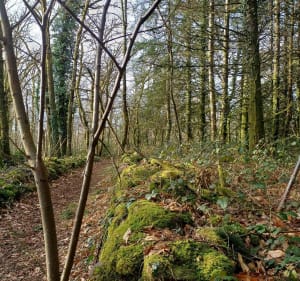 Balade à St-Symphorien-sur-Couze - Saint-Pardoux-le-Lac - 5