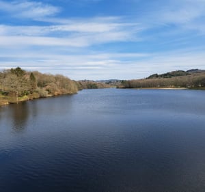 Autour des Lacs de la campagne Limougeaude. - Bujaleuf - 3