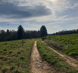 Autour des Lacs de la campagne Limougeaude. - Bujaleuf - 4