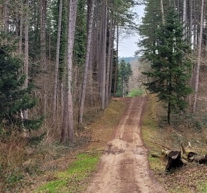 Tour du Mont Orgier au pays de Cadet Rousselle - Plaisia - 3