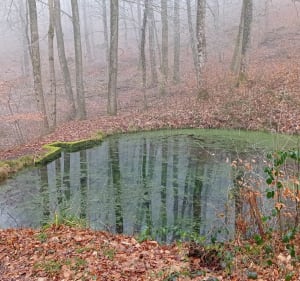 De Graufthal à La Petite Pierre - Eschbourg - 3