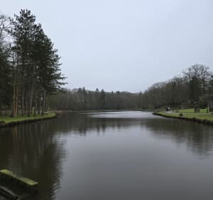 Bois de l'Epinay - Forges-les-Eaux - 3