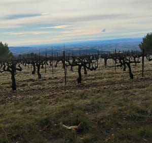 Boucle à Visan : enclave des papes - Visan - 5