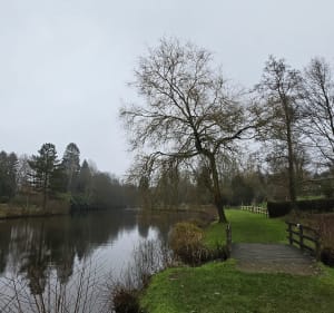 Bois de l'Epinay - Forges-les-Eaux - 5