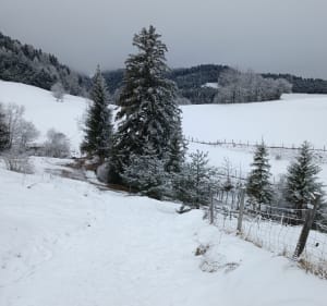 Gresse sous la neige - Gresse-en-Vercors - 5