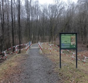 Bieg z rana w Parku Śląskim - Katowice - 3