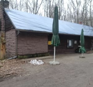 Bieg z rana w Parku Śląskim - Katowice - 4