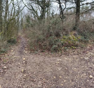 St-Germain vers Poleymieux - Patrick - 4