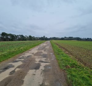 Campagne de Moustoir-Ac - Moustoir-Ac - 3
