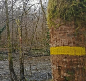 Lapleau et Viaduc des Rochers Noirs - Lapleau - 5