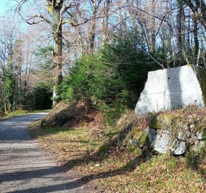 Évasion forêt de Chabrieres - Guéret - 5