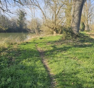 Promenade le long de l' Adour - Grenade-sur-l'Adour - 3