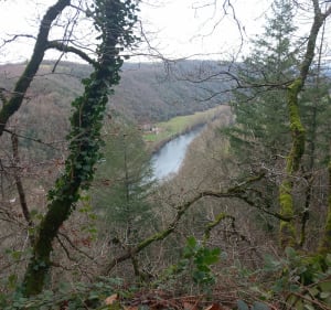 Boucle du côté de Fabas - Bellegarde-Marsal - 3