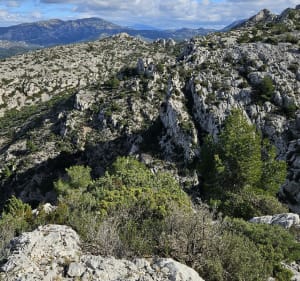 Plateau de l'Homme Mort et Marseilleveyre, départ du Mont Rose - Marseille - 4
